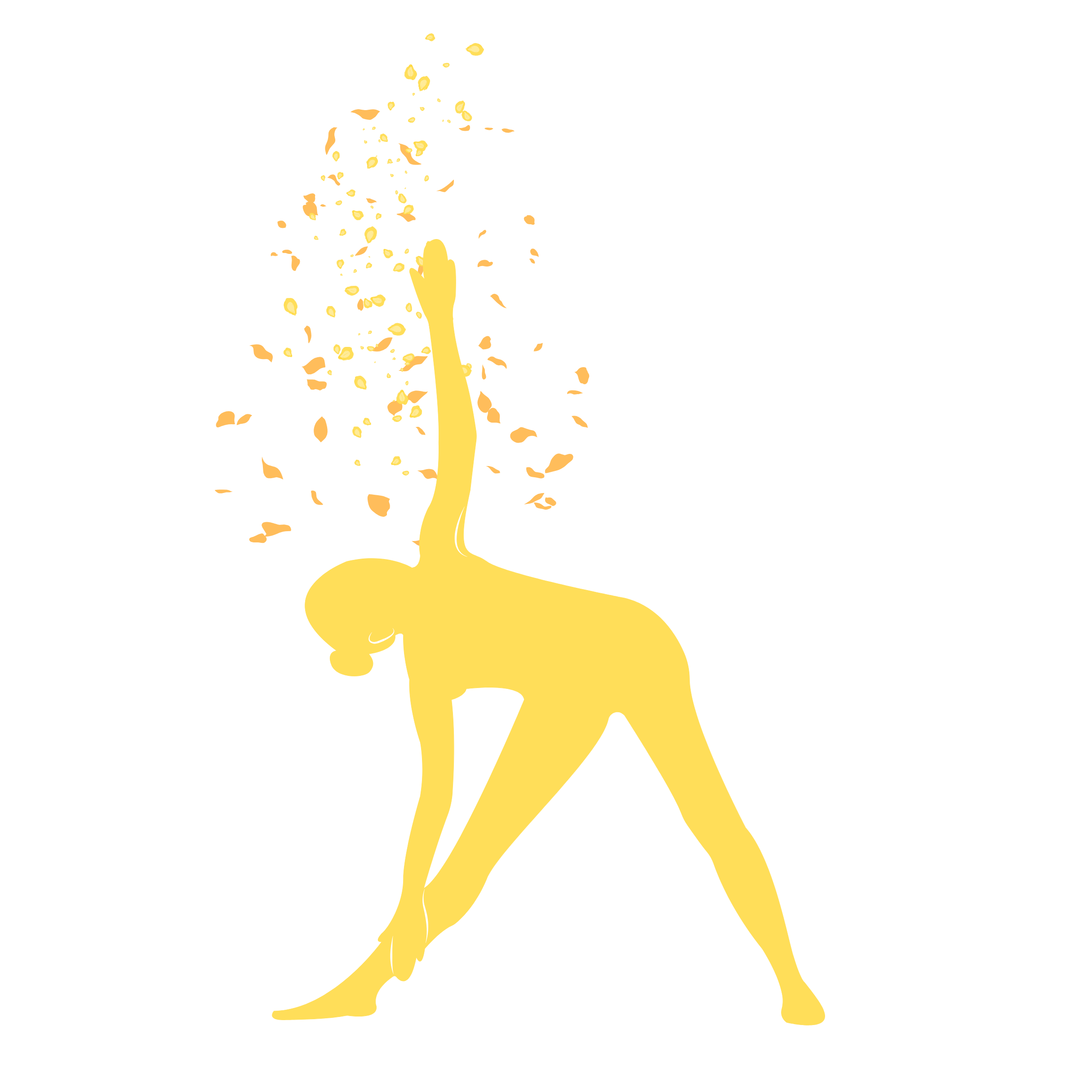 AshtangayogariccioneAsana098765