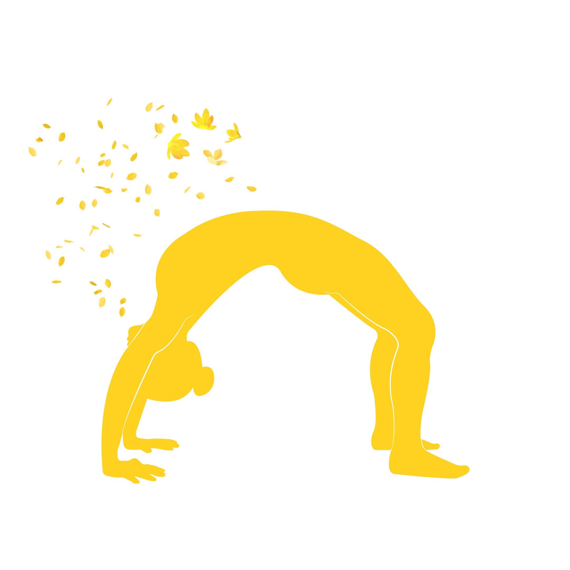 ashtangayogariccione 902