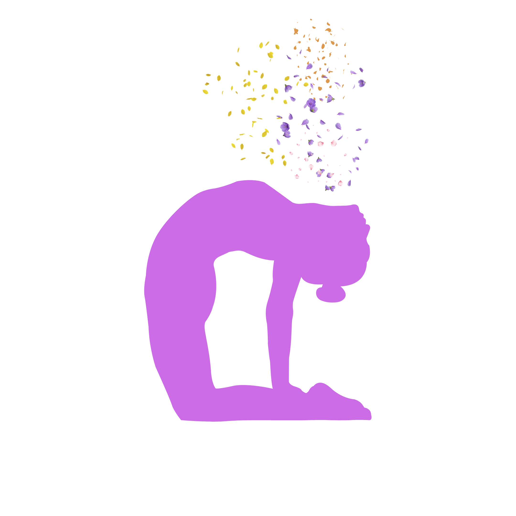 ashtangayogariccioneasana3729